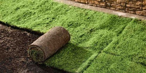 Ready Lawn Installation: Should You Lay It Yourself or Hire a Pro?